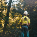 Why Stump Grinding Service Is A Must When Following Effective Home Selling Tips In Leander, TX