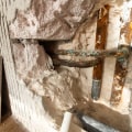 Essential Home Selling Tips In Dallas: Why Water Damage Restoration Should Come First