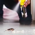 Top Home Selling Tips In Charleston: Start With Pest Extermination Services