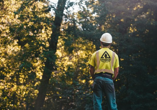 Why Stump Grinding Service Is A Must When Following Effective Home Selling Tips In Leander, TX