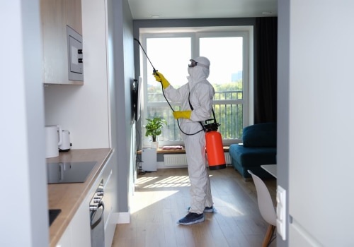 Bed Bug Control In Manhattan: Essential Home Selling Tips To Attract Buyers
