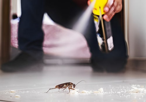 Top Home Selling Tips In Charleston: Start With Pest Extermination Services