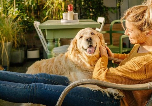 No Maintenance, All Perks: How Apt Amenities Make Choosing To Rent A Savvy Home Selling Tip For Gainesville Owners